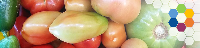 FoodSystems