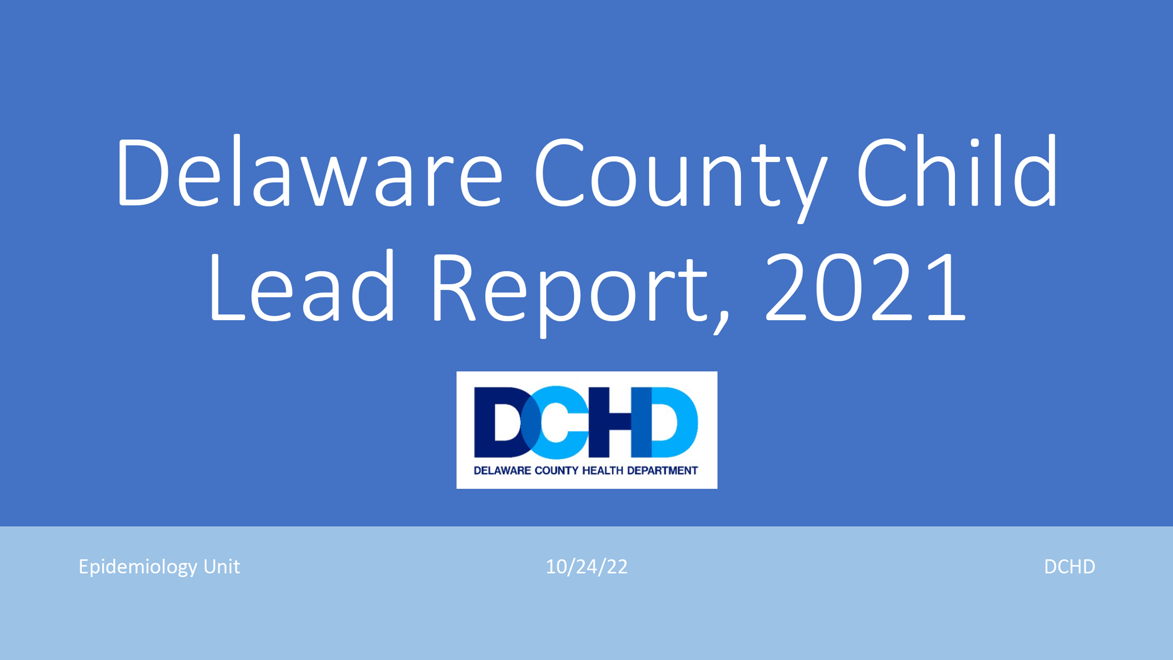 Lead Report 2021