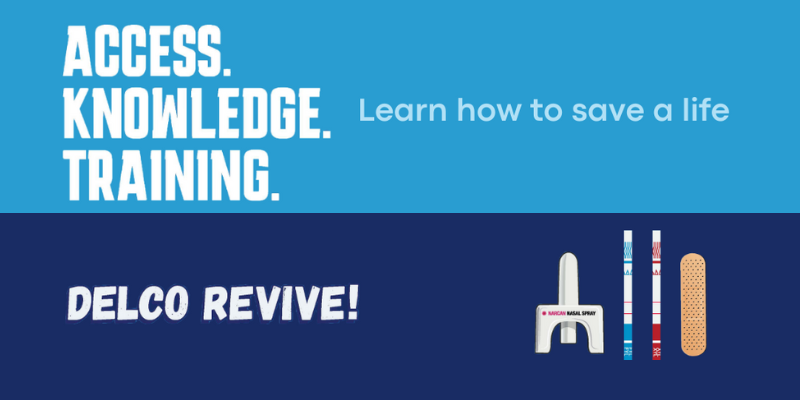 Delco Revive