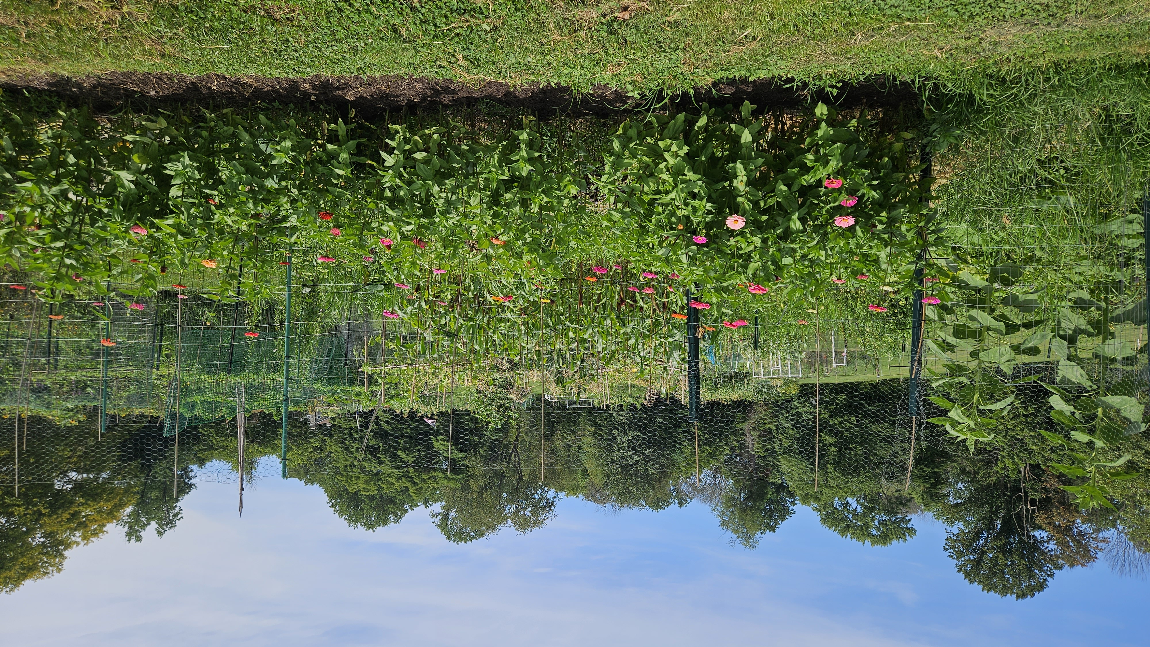 https://delcopa.gov/departments/parks/images/RoseTreeGardens.jpg