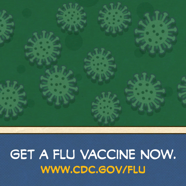 Fight Flu