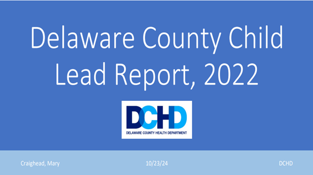 Lead Report 2022