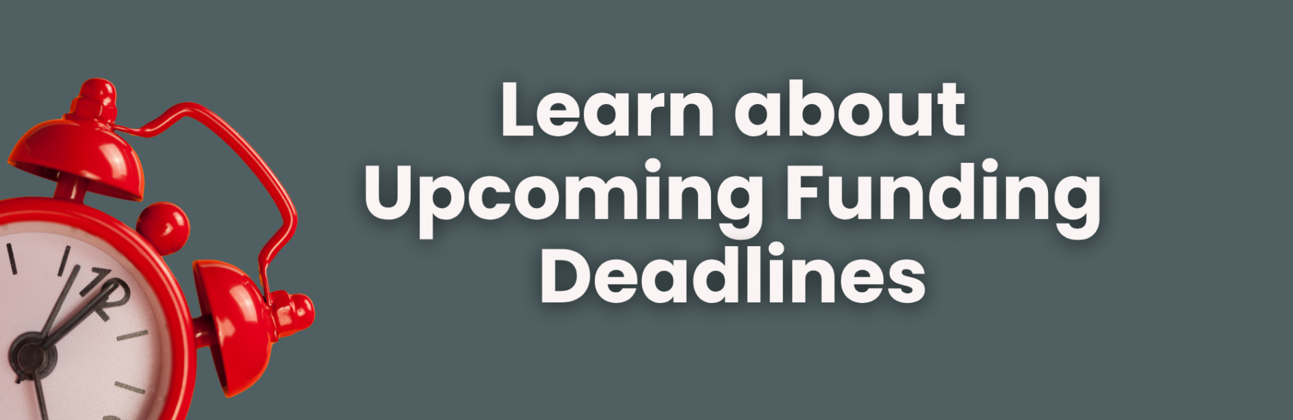 Funding Opportunities